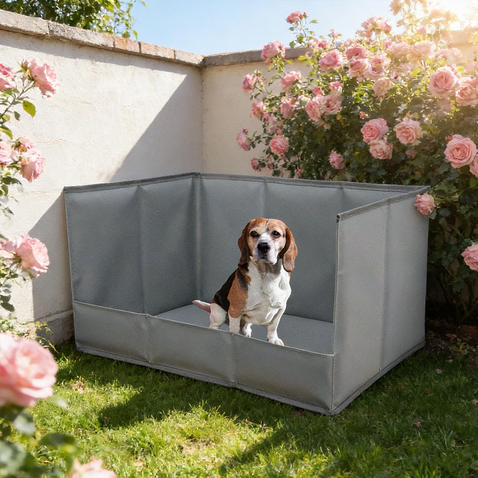Portable Indoor Dog Potty Tray - Bench Dog Hole recension och pris